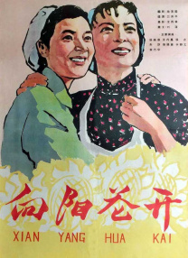 桃色视屏